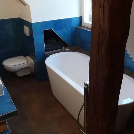 Guest house Kchischowka 3*