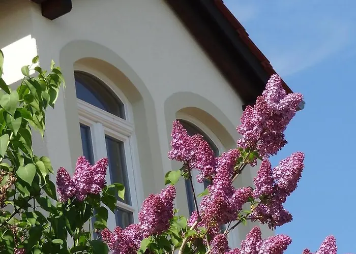 Kchischowka 3* Vetschau