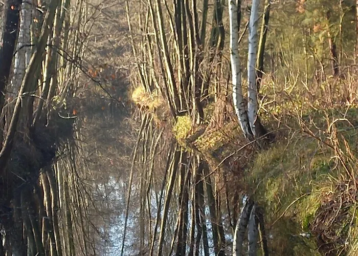 Kchischowka 3* Vetschau